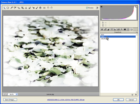 Apply different snapshot in Camera Raw Apply different snapshot in Camera Raw