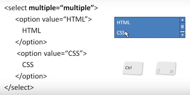 Módulo 3 - Lección 20 - Formularios select