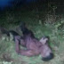 Homem morre afogado em Ipirá