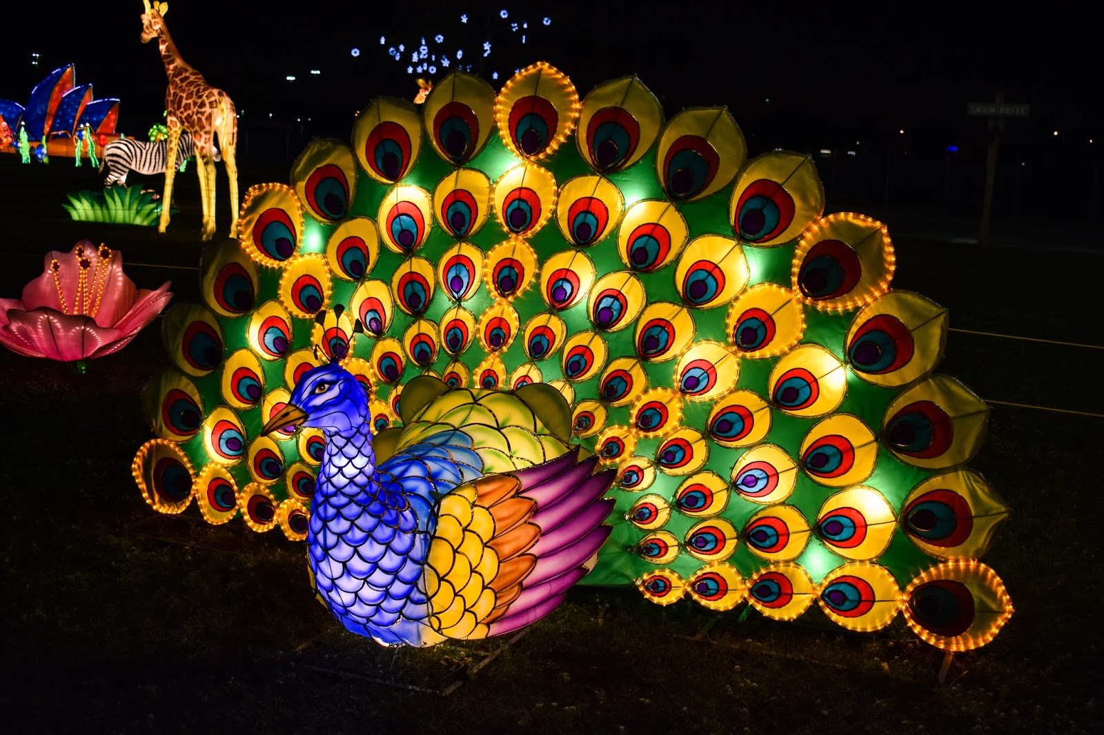Lantern Light Festival Miami, Florida
