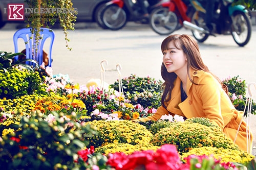Blog - Đi Về Phía Mùa Xuân Blog - Đi Về Phía Mùa Xuân