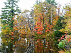 Lake Muskoka fall colours still water by garden muses--a Toronto gardening blog