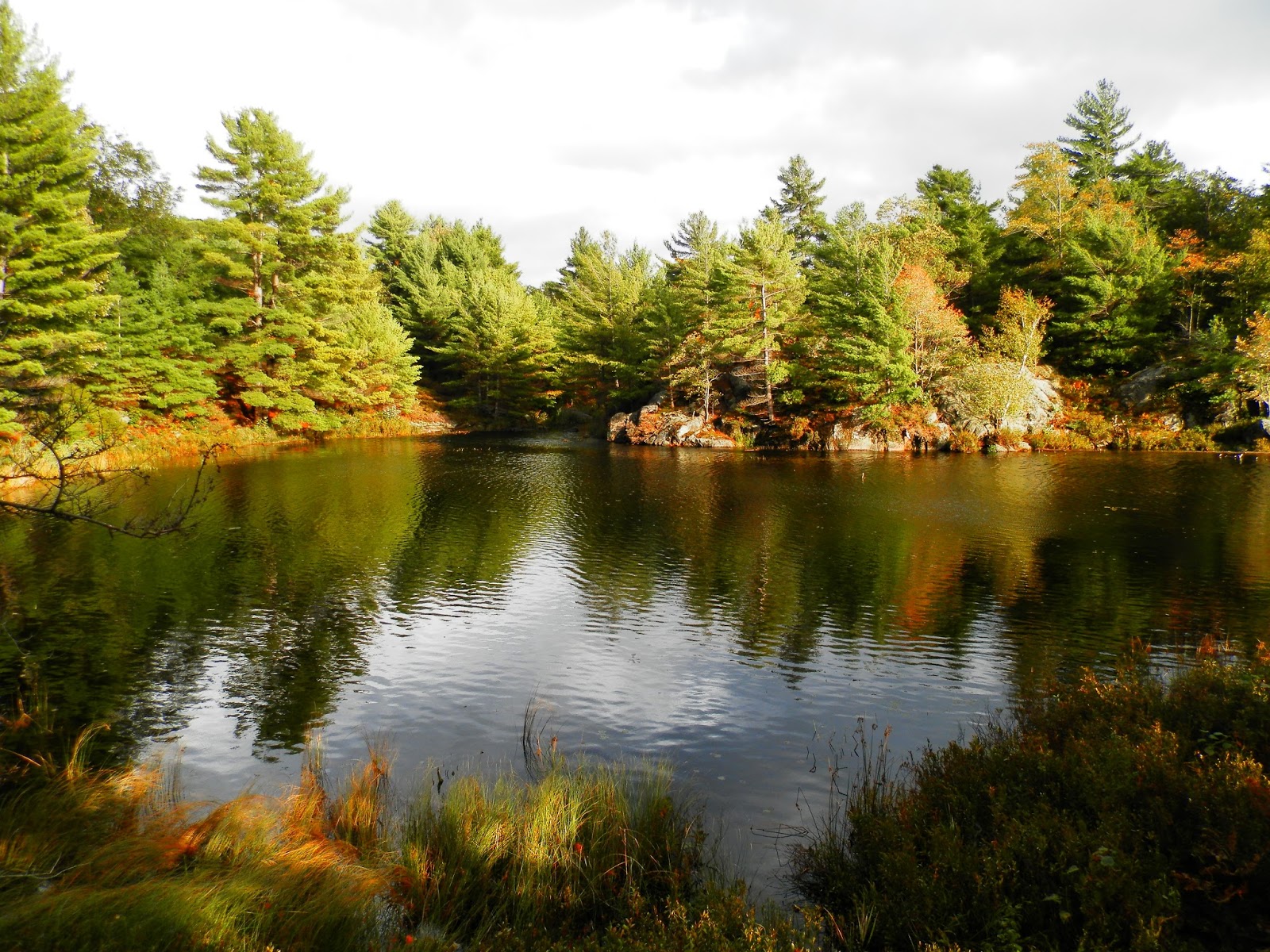 Camping In Ontario: Six Mile Lake Provincial Park - Site 81