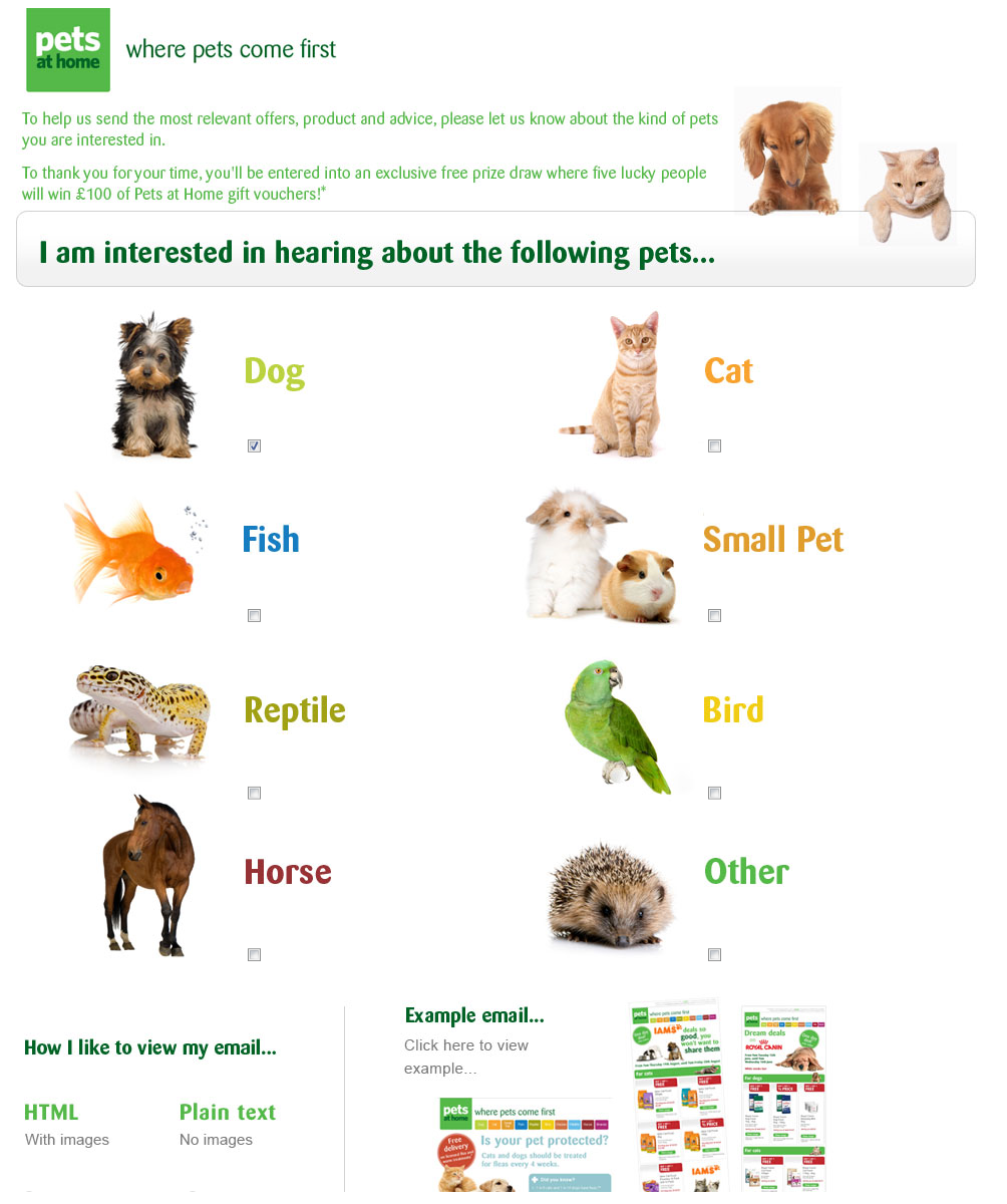 картинки на тему my pets. Pets home перевод. питомцы на английском. квизы для ветеринарной клиники. животные на английском языке с переводом.
