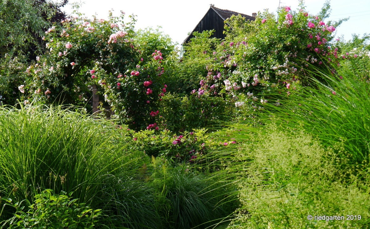 Unser Riedgarten