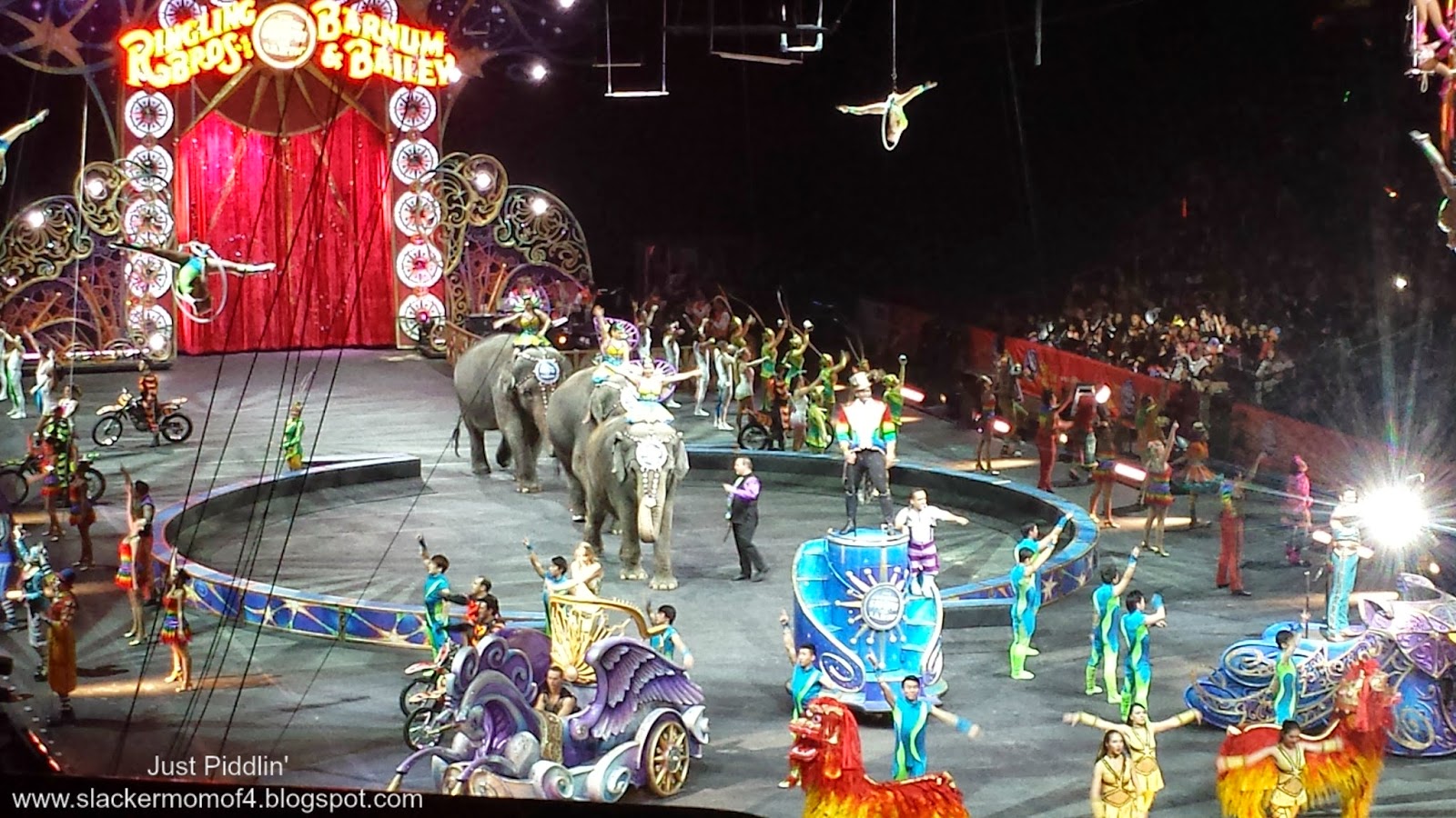 Circusvoorstellingen in Rotterdam de complete circus agenda Theaternl