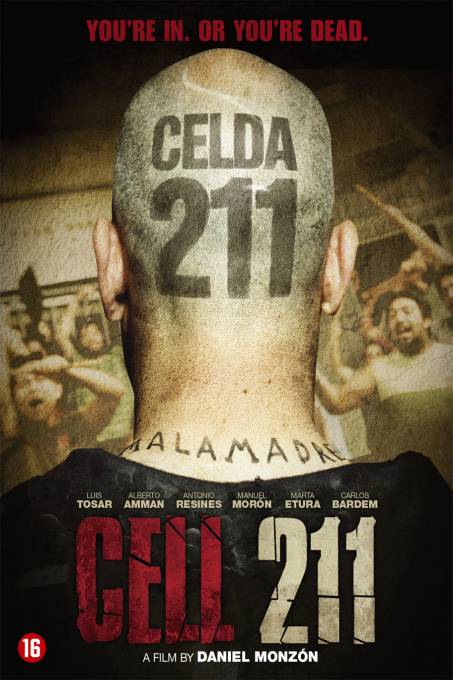 Cell 211