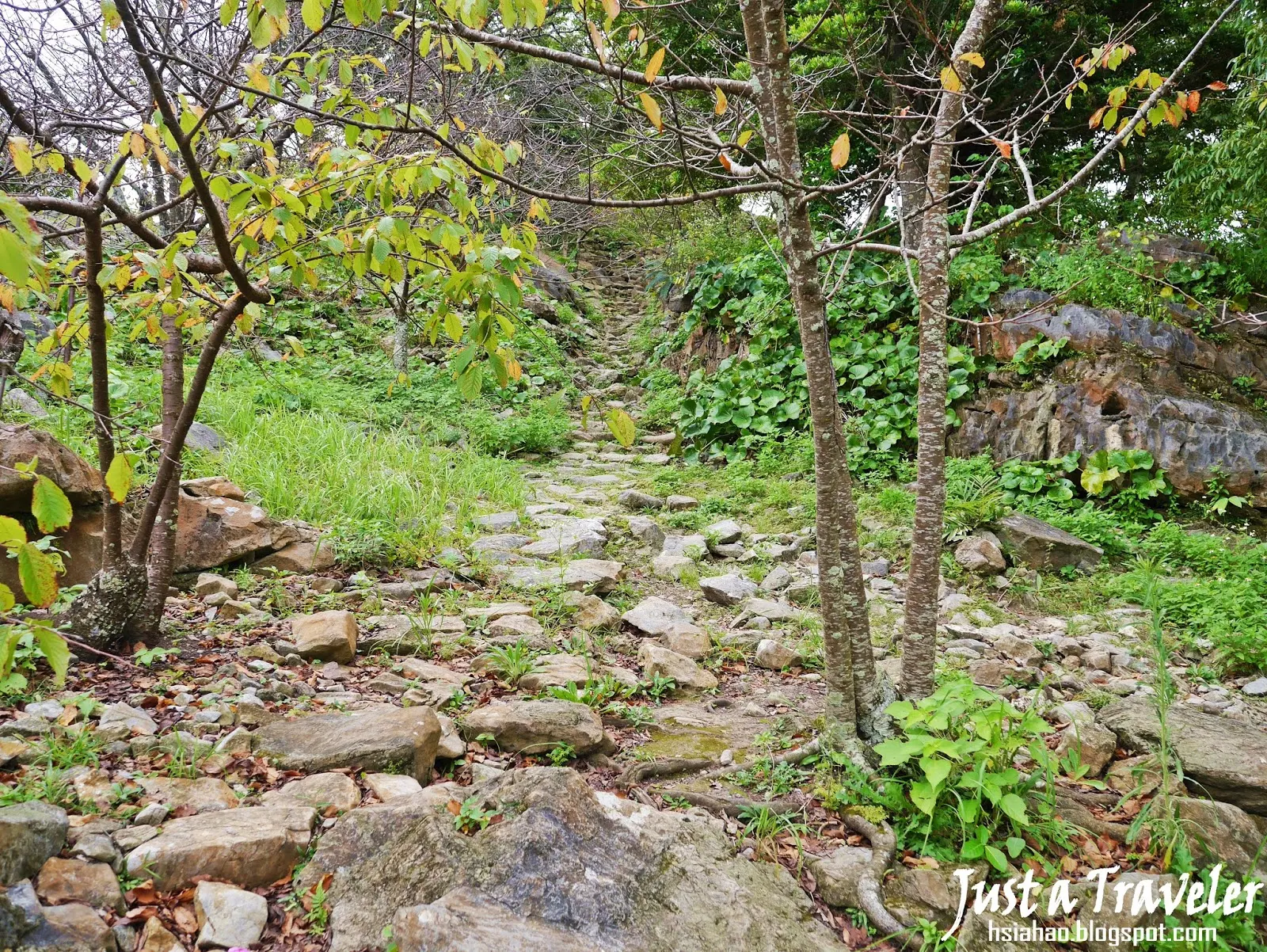 沖繩-景點-今歸仁城跡-今帰仁城跡-Nakijin-Castle-推薦-自由行-旅遊-Okinawa