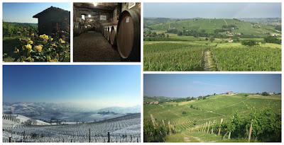 cantina franco mondo monferrato