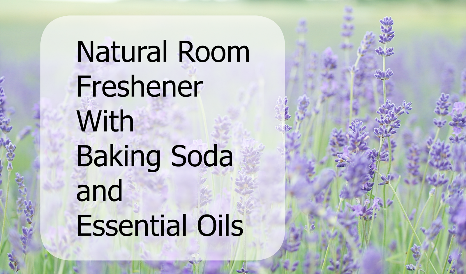 Smile for no reason Natural Room Freshener With Baking Soda and