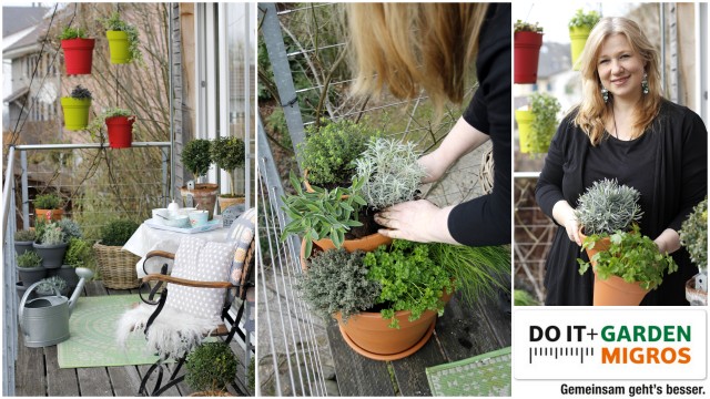 Ich blogge auch hier: