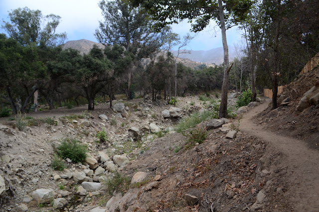 Hot Springs Creek in the open