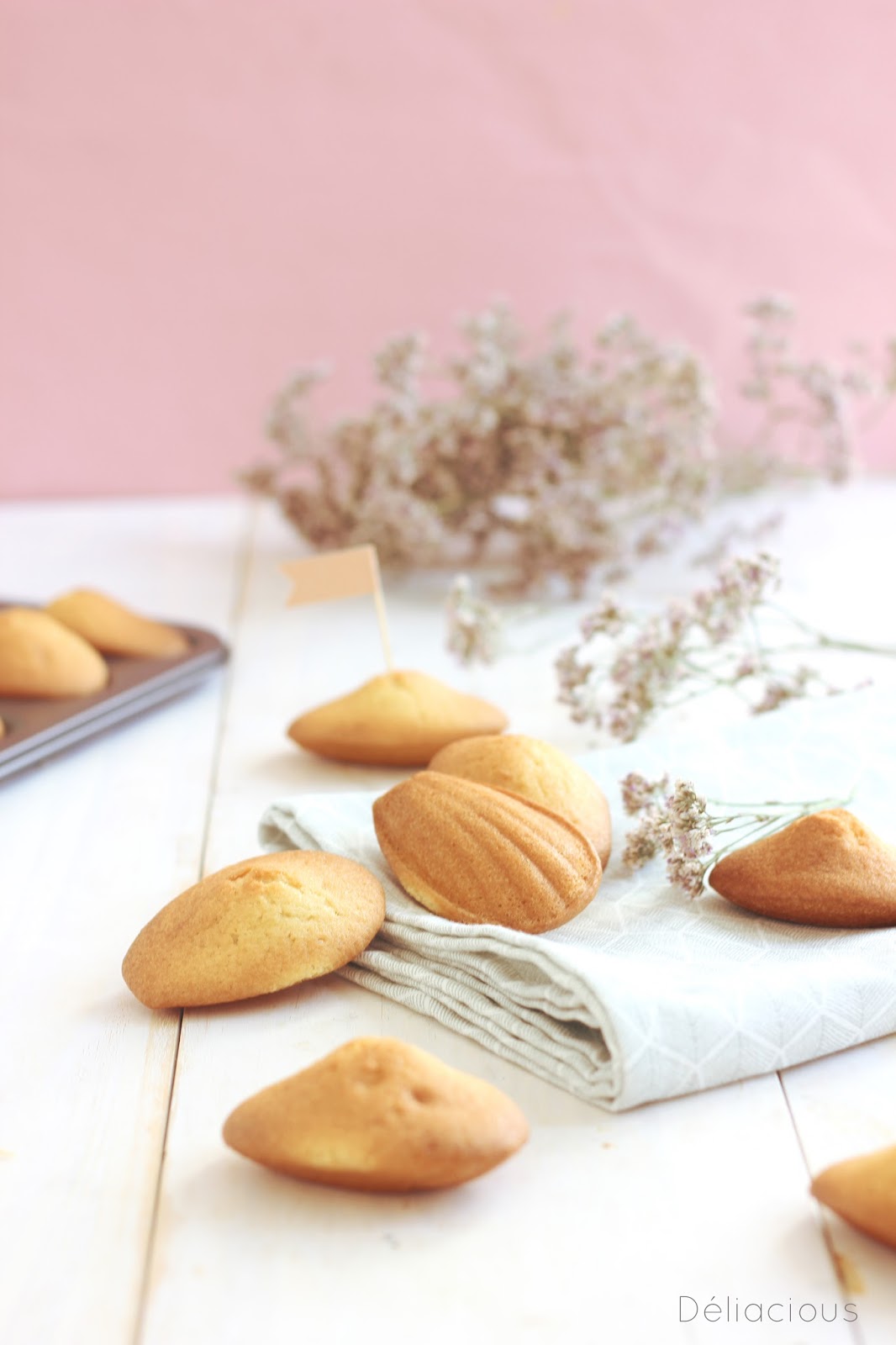 Madeleines vegan sans oeufs ni lactose Petits gâteaux vegan