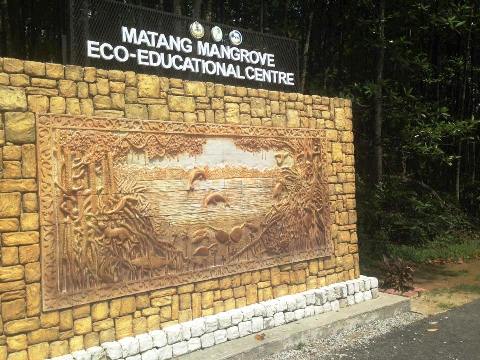 KUALA SEPETANG ECO TOURISM Matang Mangrove Forest Reserve Tour, Bird ...