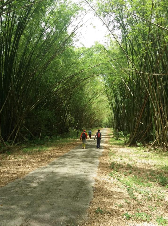 Places to walk in Trinidad Tucker Valley Road/Bamboo Cathedral
