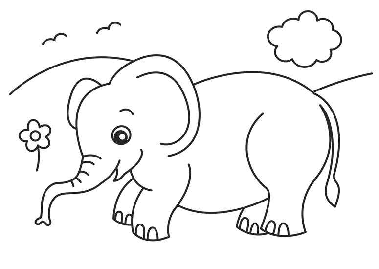 e elephant coloring pages - photo #16