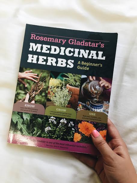 Quick Review // Medicinal Herbs: A Beginner's Guide by Rosemary ...