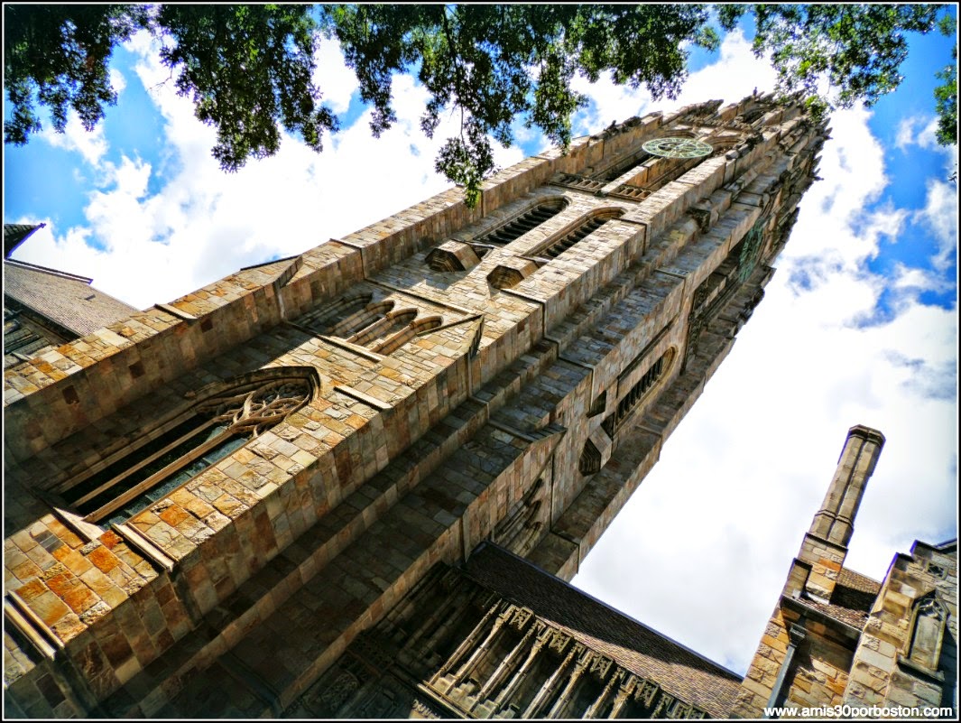 Universidad de Yale: Harkness Tower