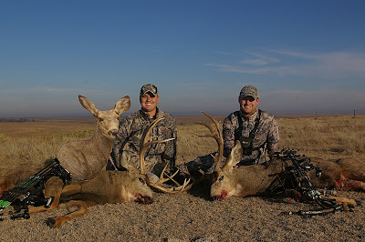 mule deer buck double using heads up decoy