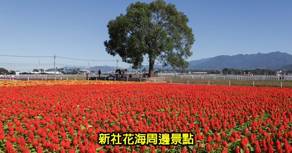 台中新社花海周邊景點|台中山線一日遊|山線景點|持續更新 台中新社花海周邊景點|台中山線一日遊|山線景點|持續更新