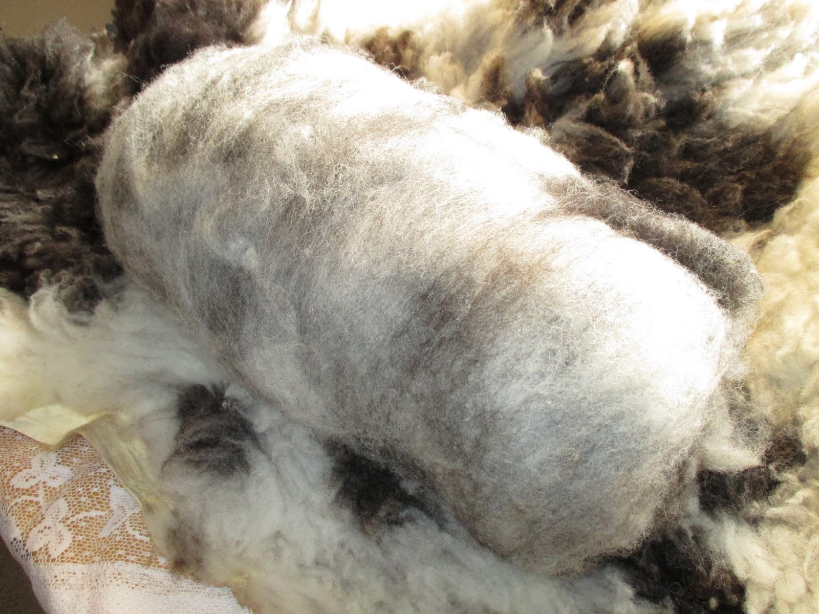 Spotted Sheep Shop Wool Fiber Jacob Sheep Wool Rolags & Batts For Sale