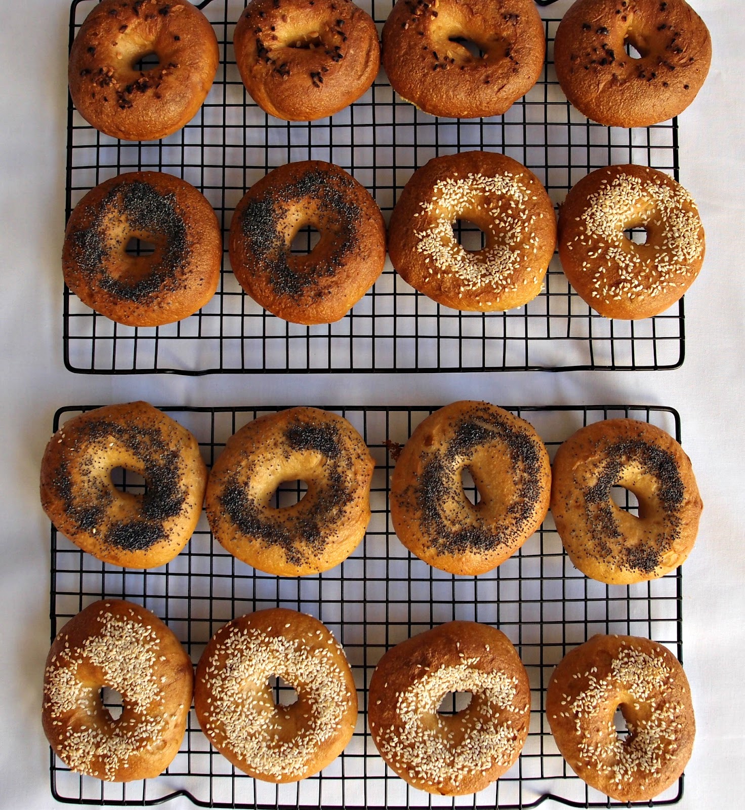 Milk and Honey BronxWorthy Bagels