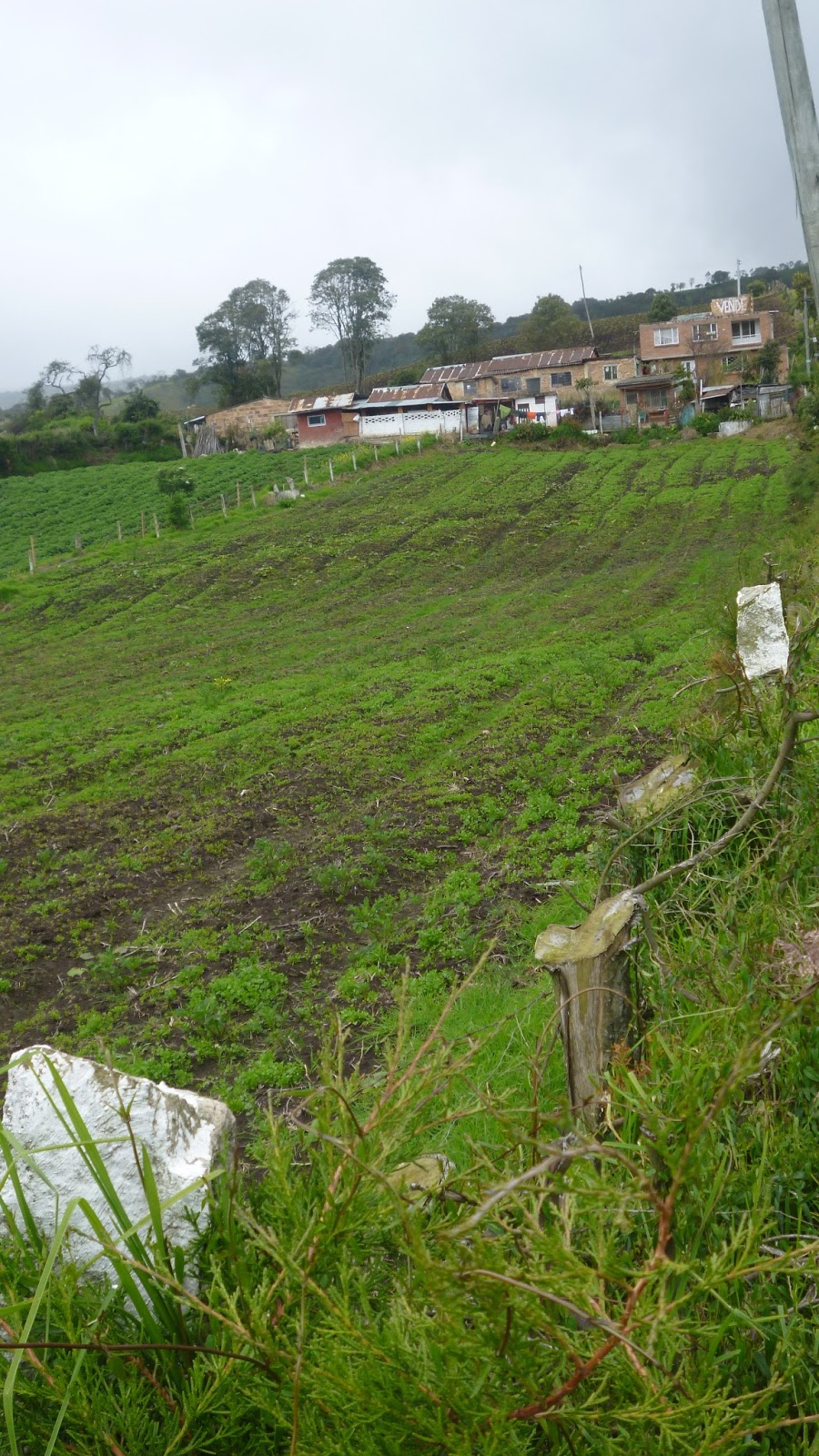 Geografia humana : Lo rural