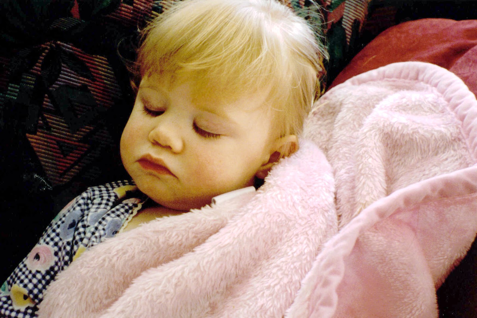 Life is an Adventure