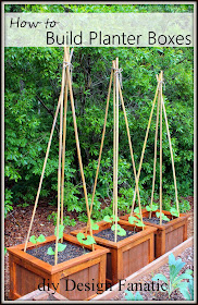 raised beds, raised beds on a slope, vegetable garden, building project, diyDesignFanatic.com, building project
