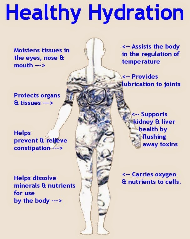 Fit n Healthy Does Water Help You Lose Weight Find Out How