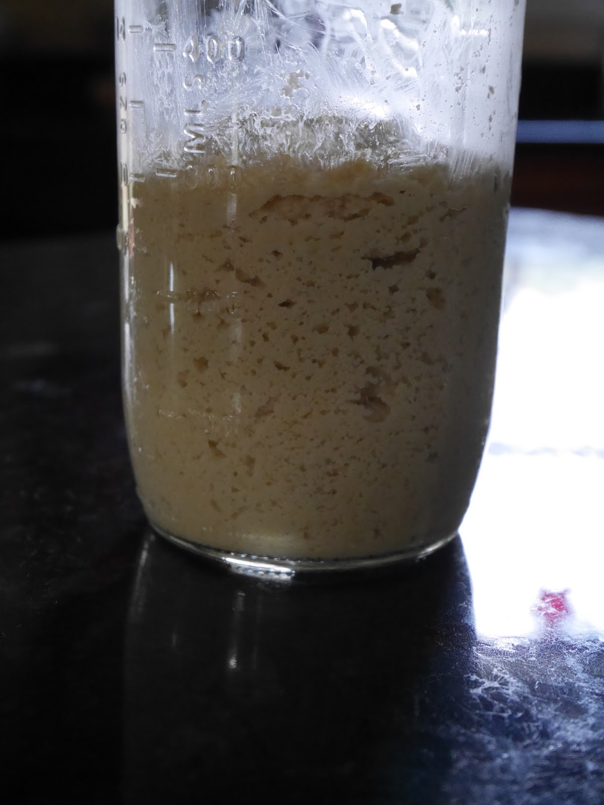 GlutenFree Boulangerie La Pasta Madre Italian GF sourdough starter