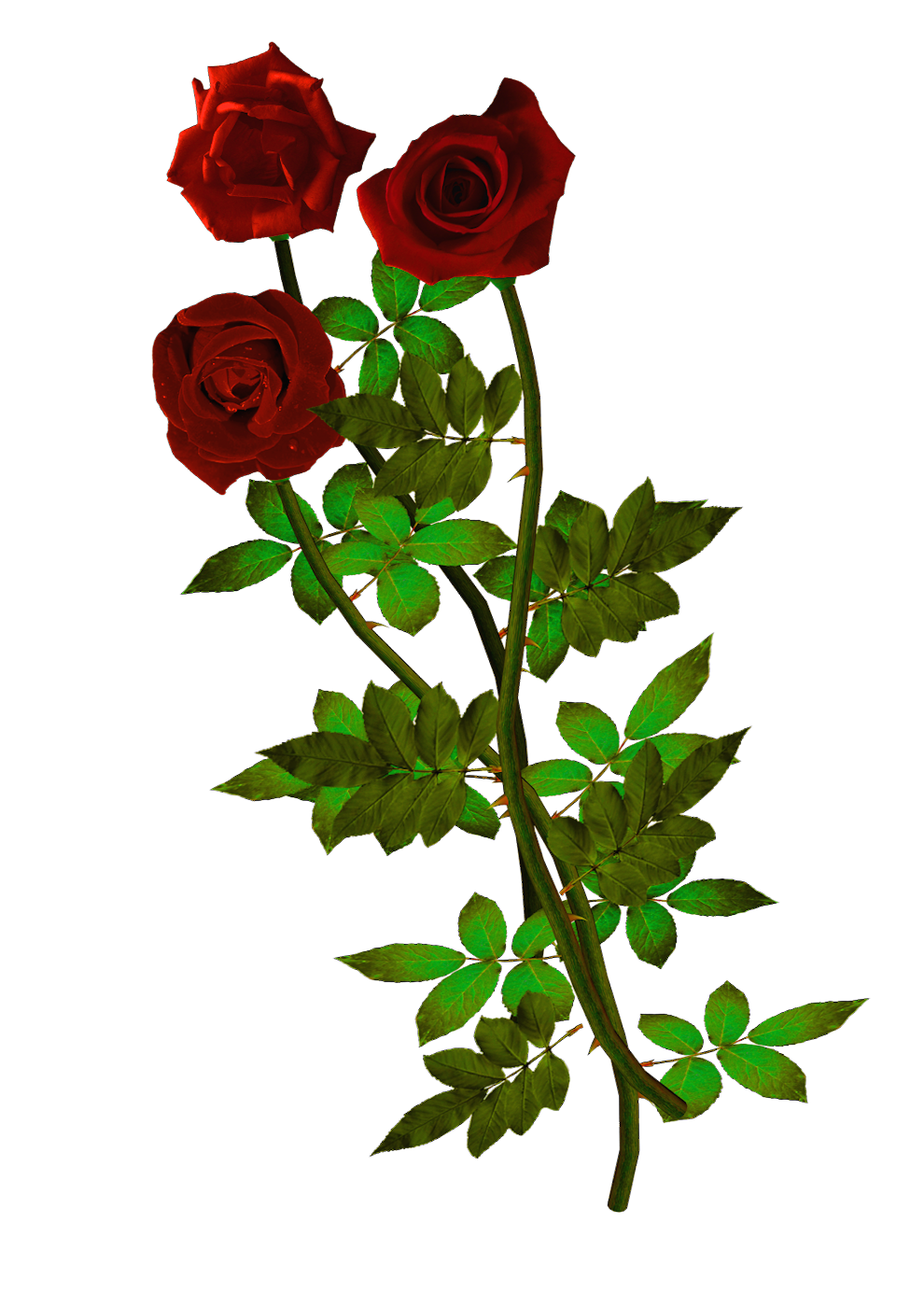 ≈ღFondos De Pantalla y Mucho Másღ≈: Rosas rojas PNG
