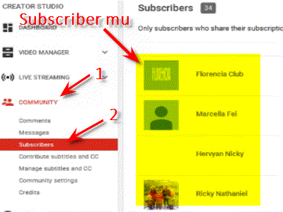 Melihat subscriber youtube