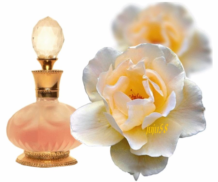 Chez Lilwenna: Parfum