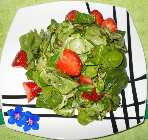 Salada de espinafre com cânones e morangos Salada de espinafre com cânones e morangos