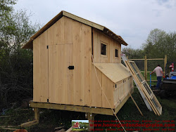 building chicken coop plans build shed plan built construction success garden m200 owner