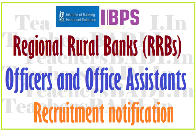 IBPS RRBs Officers, Office Assistants 2017 Main Exam Results, Interview Admit Cards ibps rrbs officers,office assistants recruitment results,apply online,last date for apply,admit cards,selection lists,results,online written exam date