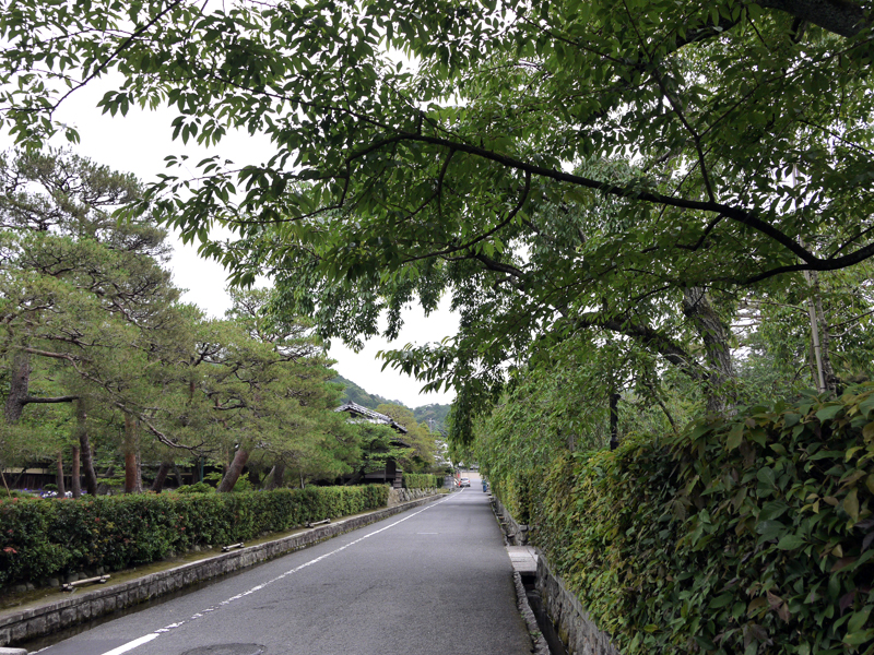 はりねずみ君の独り言 野村碧雲荘
