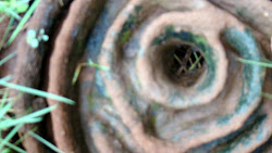 footloose snakes prevent nest sticks creatures mesh miss inside don