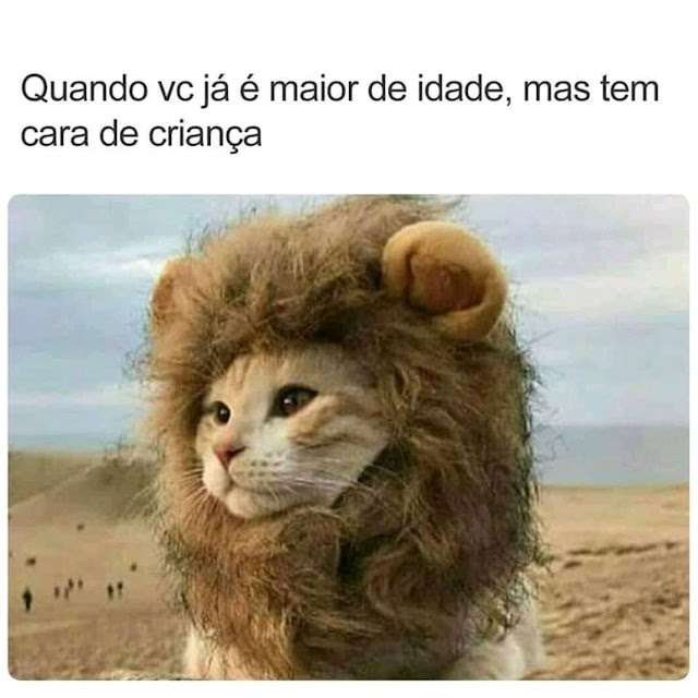 Memes engraçados Memes engraçados