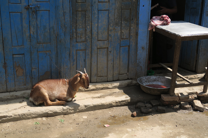 Het eten in Nepal: Dal Bhat, masala op alles en bananenlassi | Samen de ...