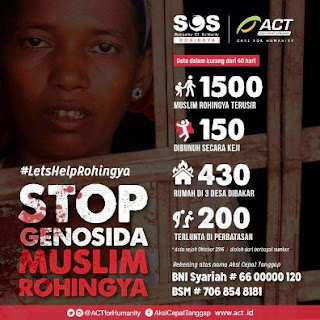 donasi rohingya