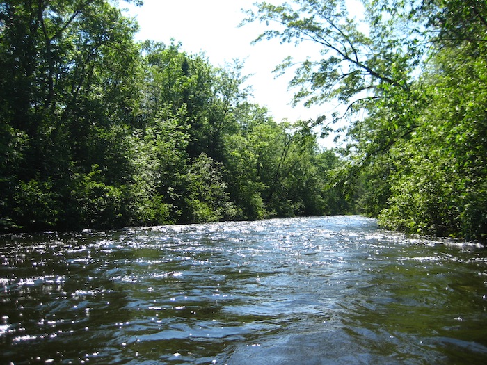Stewards of the Northwoods Paddling the Manitowish River