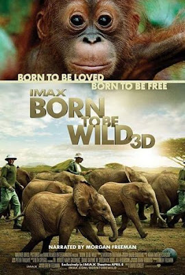 Born to Be Wild – DVDRIP LATINO