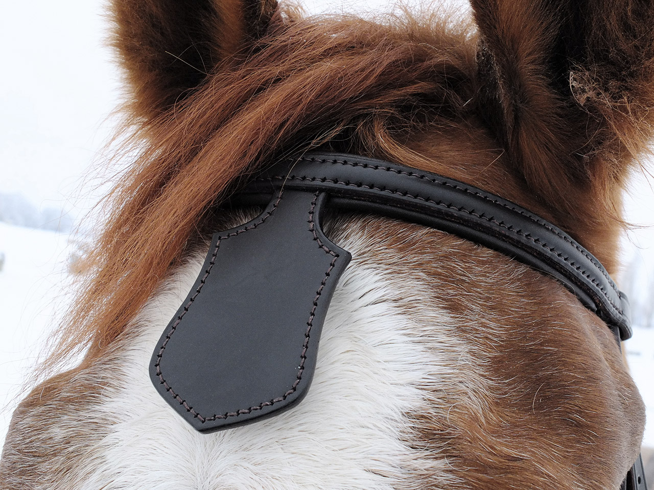 Frontalino Imbottito Per Cavalli In Nylon Con Redini - Blu Reale, Completo E Regolabile - Foto 2