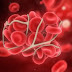 Komponen Penyusun Darah Manusia dan Fungsinya