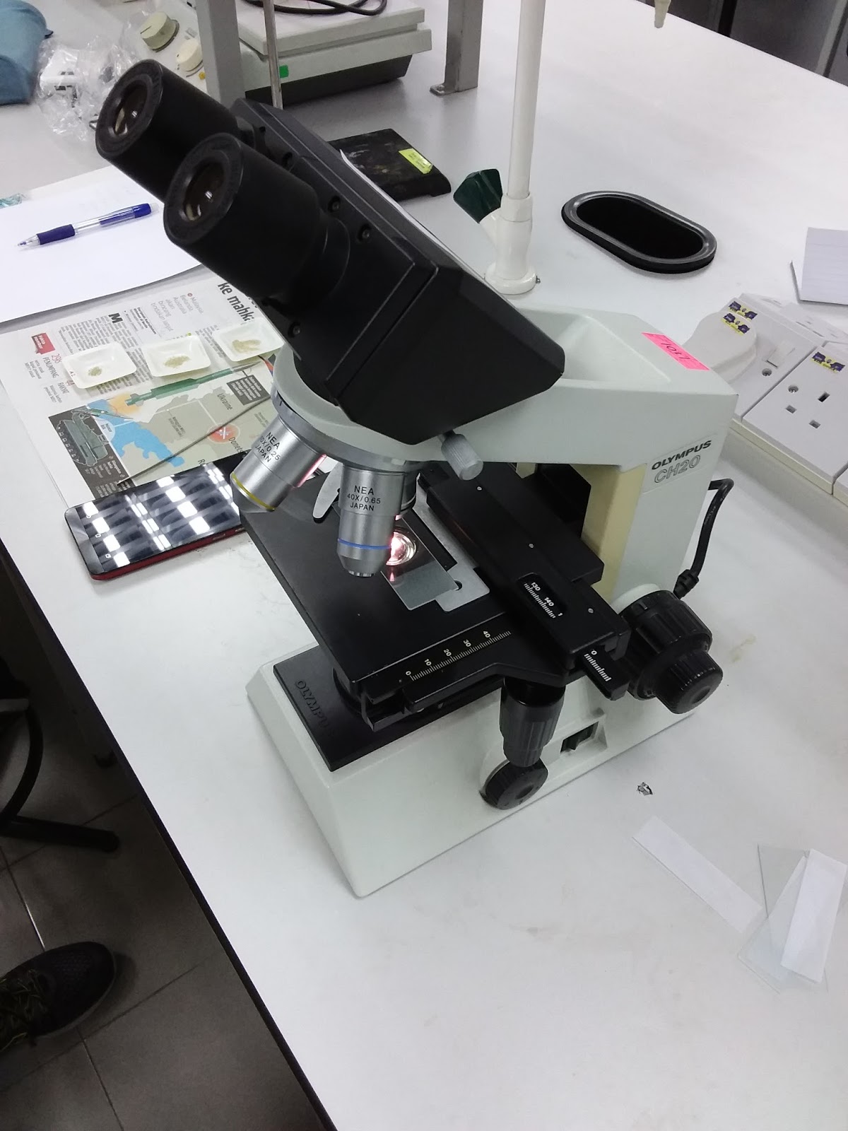 Lab report for Experiment 4b : Particle size and shape analysis using ...