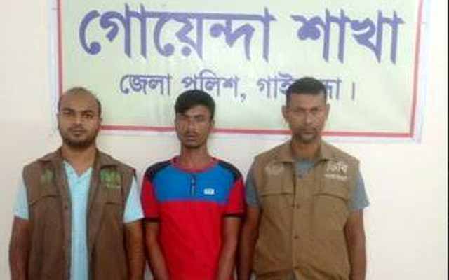 Gaibandha drug trafficker arrested গাইবান্ধায় ইয়াবাসহ মাদক ব্যবসায়ী গ্রেফতার