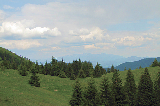 Przełęcz Medzirozsutce (1200 m n.p.m.).