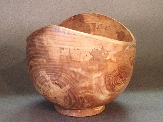 Spalted Elm